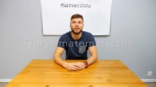 Tabliczka mnożenia ćwiczenia | Zoo matematyczne | Tygrys |  #uczsiezdomu.pl