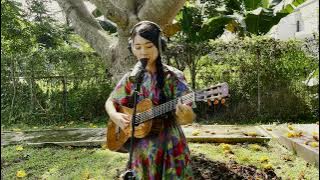 hara - Arumdalu (live performance)