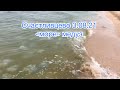 « море» медуз в Азовском море 03.08.21