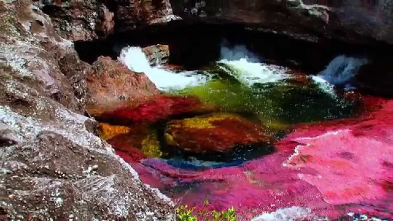 コロナ疲れを吹っ飛ばす元気になれる国歌 中南米編 国歌の輪プロジェクト 君が代などの国歌