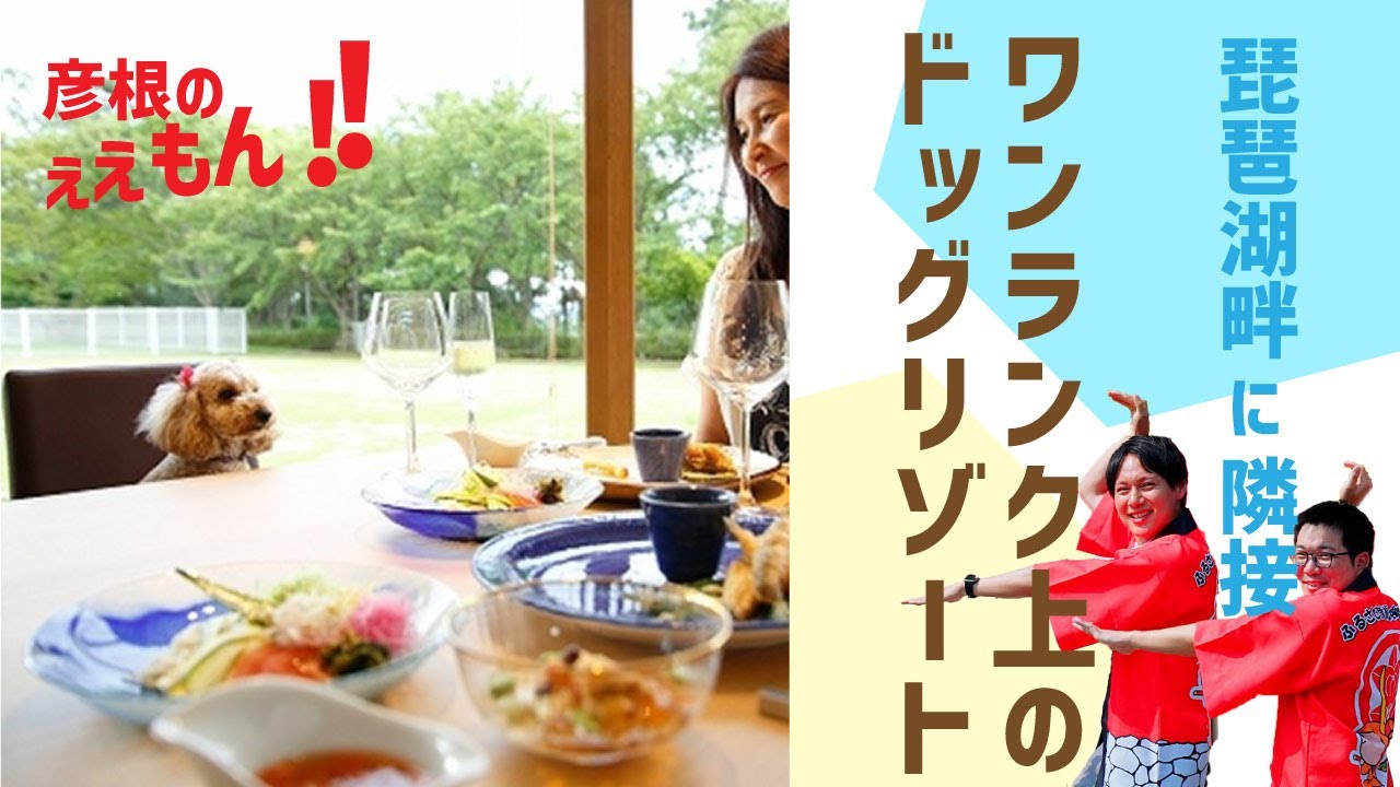 【彦根のええもん‼️】愛犬とくつろげる快適な空間「ホテルビワドッグ」さんをご紹介！！