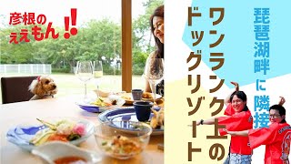【彦根のええもん‼️】愛犬とくつろげる快適な空間「ホテルビワドッグ」さんをご紹介！！