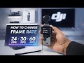 Change Frame Rate on DJI Osmo Pocket | VIDEO RESOLUTION & FRAME RATE ON DJI OSMO POCKET
