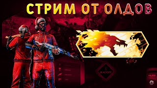 Стрим От Олдов №313 Counter-Strike:GO Danger Zone Road to howl Кс Го Запретная Зона Путь До Воя