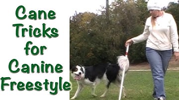 Cane Tricks for Canine Freestyle - Clicker Training