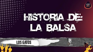 LA HISTORIA DE "LA BALSA", LA EMBLEMATICA CANCIÓN DE "LOS GATOS".