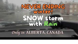 SNOW STORM with RAIN on The LAST DAY of APRIL 2024 / SPRING SEASON in ALBERTA CANADA