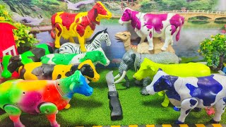 WADIDAU‼️POTONG SAPI KURBAN‼️SAPI LUCU‼️UNBOXING SAPI VIDEOS SUARA SAPI MENEMUKAN SAPI KEREN SEKALI WADIDAU‼️POTONG SAPI KURBAN‼️SAPI LUCU‼️UNBOXING SAPI VIDEOS SUARA SAPI MENEMUKAN SAPI KEREN SEKALI