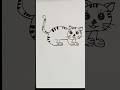 How to draw cat by 35 #tutorial #shortvideo  #cat #catdrawing #drawing #art