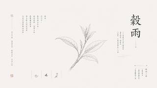 Solar Echoes • 穀雨 | Grain Rain | Chinese Ambient Music