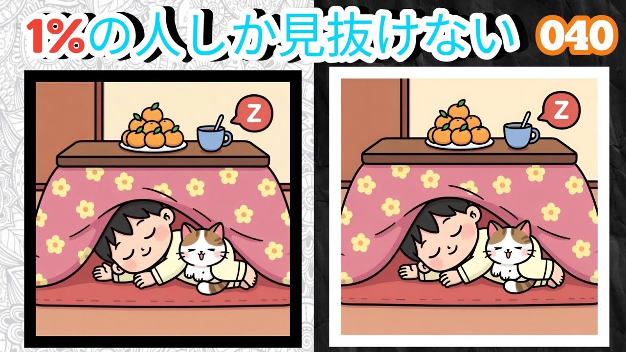 1%🧠の人しか見抜けない間違い探し040🤔｜こたつで寝る子どもと猫の違いを探せ🐾🐱