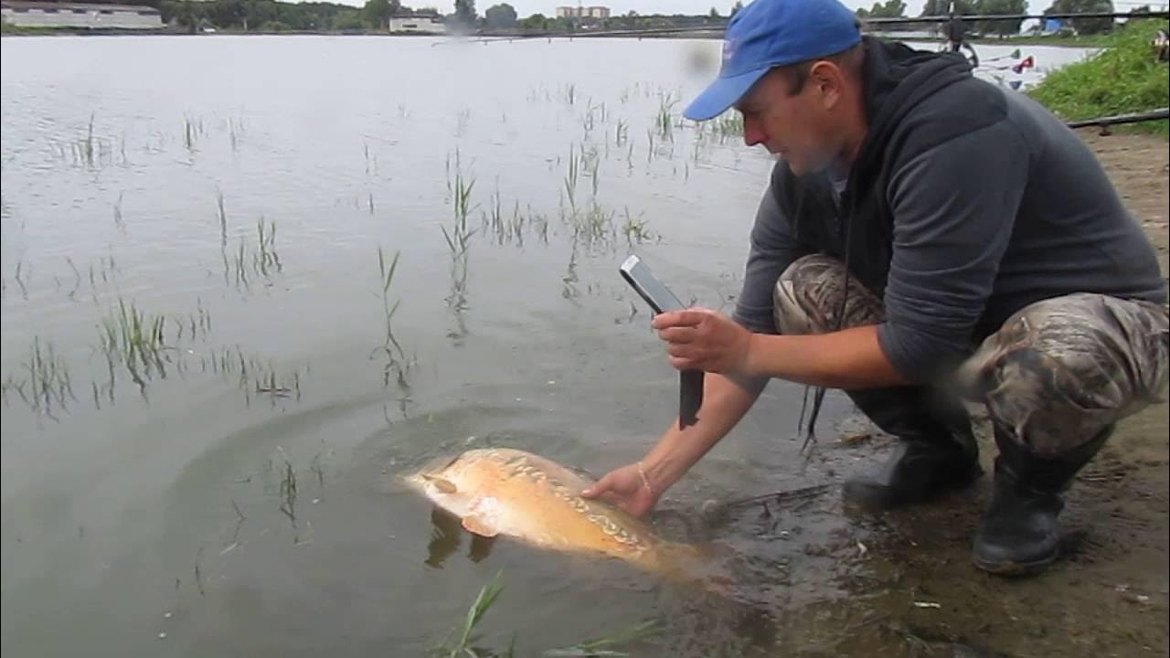 Рыбалка раменское гжелка. Пруд рыбхоз загорянка. Раменский гжелка рыбхоз рыбхоз рыбхоз. Раменский гжелка рыбхоз рыбхоз рыбхоз. Гжелка.