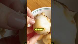 The Mushroom That Changes Its Name As It Ages!