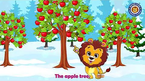 Here we go around the apple tree | English Rhyme | Supercubs International Playschool