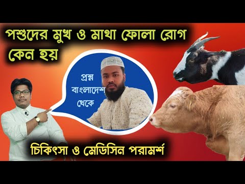 ভিডিও: বিভিন্ন ক্রিয়াকলাপের জন্য প্রযুক্তি পাঠে সুরক্ষা নিয়ম