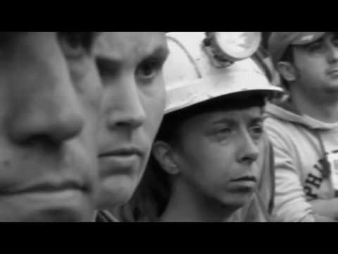 N.t.s.h.t.s Video