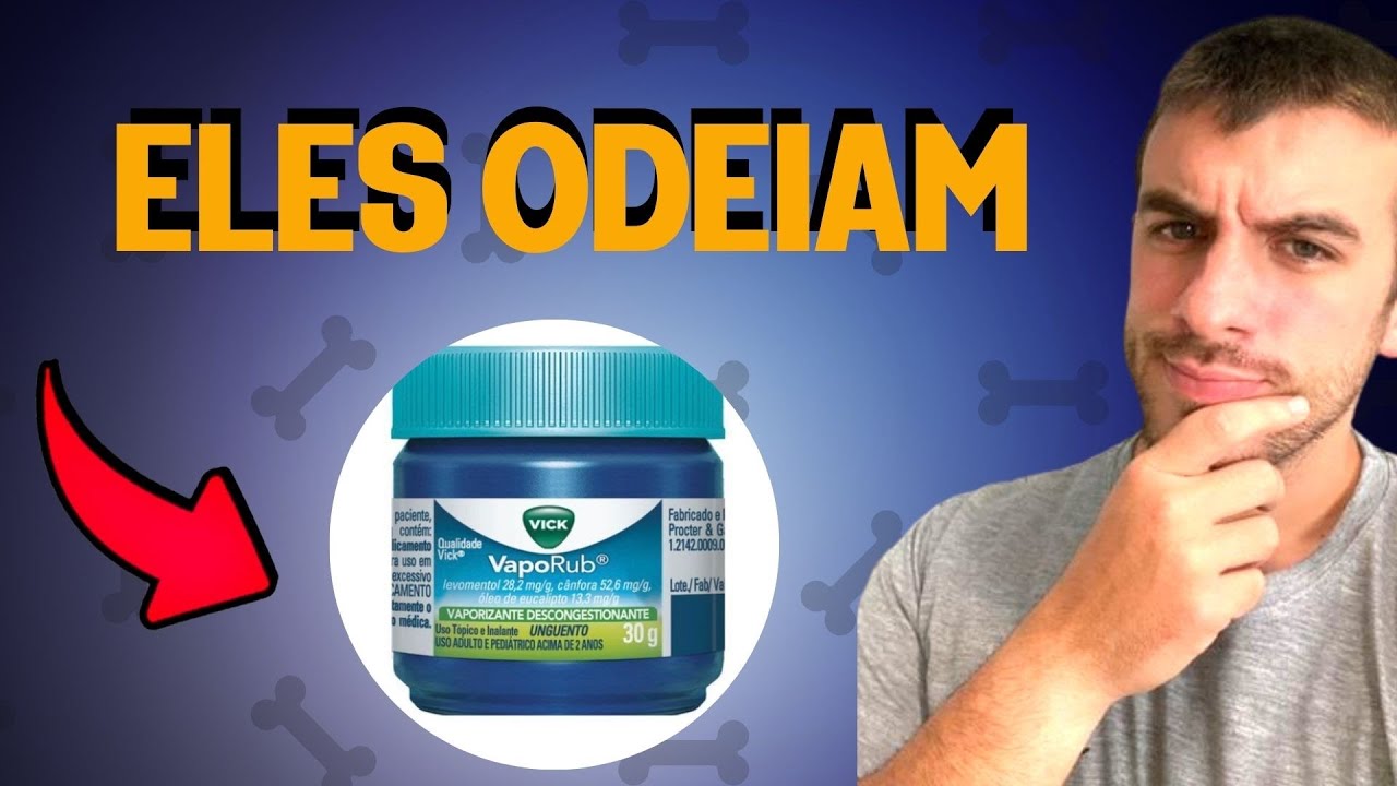 8 Cheiros Que Os C es Mais Odeiam E Voc N o Sabia YouTube 8-cheiros-que-os-c-es-mais-odeiam-e-voc-n-o-sabia-youtube