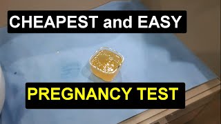 CHEAPEST and EASY PREGNANCY TEST : AMAZING, WATCH IT 