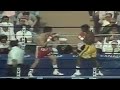 Wow what a knockout  julio cesar chavez vs francisco tomas da cruz highlights