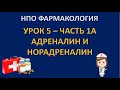 НПО фармакология - урок 5 - часть 1А - АДРЕНАЛИН и НОРАДРЕНАЛИН