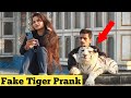 Fake tiger prank on girls  by bobby butt  pranks in pakistan