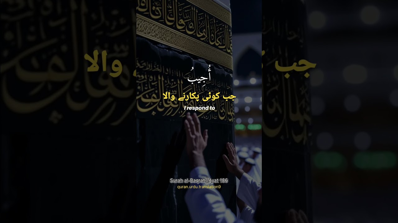 Ayah of the day 😊❣️ 