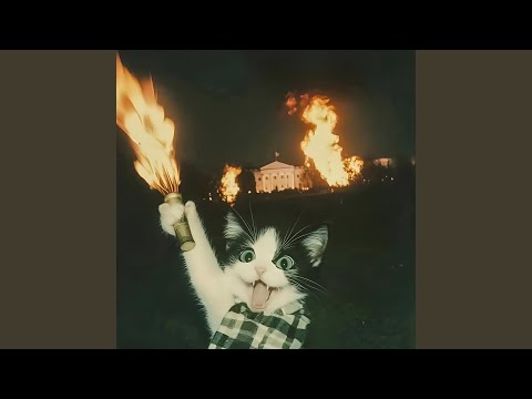 هنا الكبير دبل اي