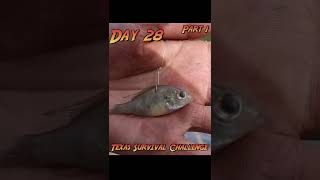 30 Day Texas Survival Challenge Day 28 Part 1 | Searching for new Food