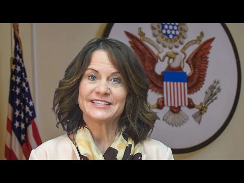 რობინ დანიგანის პირველი მოხსენება პარლამენტში | აშშ-ის ელჩის მთავარი გზავნილები და \"ოცნების\" პასუხი