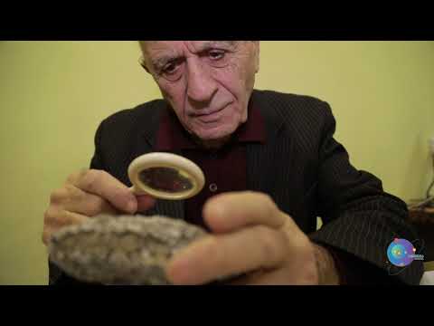 თსუ ალექსანდრე ჯანელიძის სახელობის გეოლოგიის ინსტიტუტის ღვაწლმოსილი მეცნიერი - დავით შენგელია