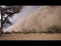 迫りくる砂嵐｜Impending Sandstorm