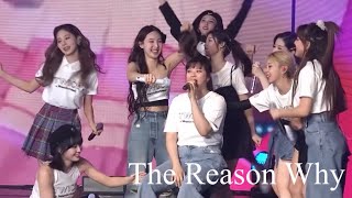 The Reason Why／TWICE ＜歌詞・和訳＞