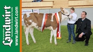 4. Bundesjungzüchterchampionat in Freistadt