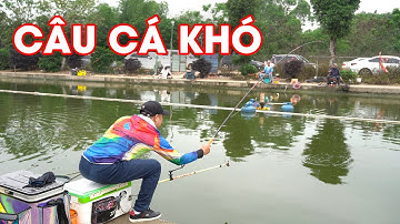 CÂU CÁ CHÉP | Kinh nghiệm câu cá khó - Hồ cá chép khuyên