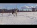 "Тюргэн Кам - Саха", видео песня Каюра.mpeg