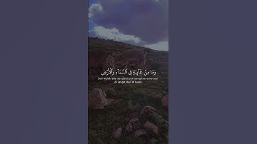 تلاوة تريح القلب ❤️#المسلمين #المصحف #القرآن_الكريم #آية