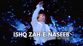 Ishq Zahe Naseeb Ost | Slowed Reverb