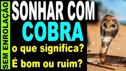 O que significa sonhar com cobra no jogo do bicho