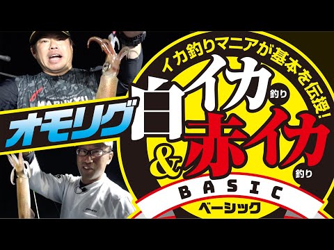 白イカ&赤イカ　オモリグ攻略!!　基本の釣り方まるわかり♪