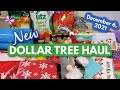 Fun DOLLAR TREE HAUL!  December 6, 2021 #LeighsHome