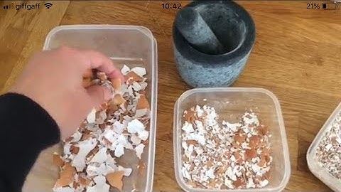 Egg Shells Slug & Snail Control, The Mistake People Make