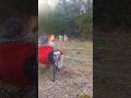 Hand Cannons All Day #500magnum #raginghunter
