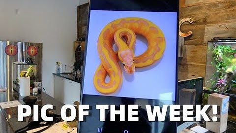 MC Pic Of The Week! Ultramel Is Killing It!