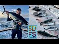 San Diego Bluefin Tuna & Yellowfin Tuna Fishing on Mission Belle Point Loma Sportfishing SDFS