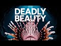 Lionfish Invasion: The Underwater Menace
