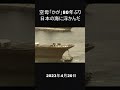 #Shorts 空母「かが」(祝)80年ぶり日本の海に浮かんだ空母 戦艦大和造船所 海上自衛隊 呉基地【加賀】 空母化改修工事 護衛艦かが 軍艦行進曲 2023/4/20 #short