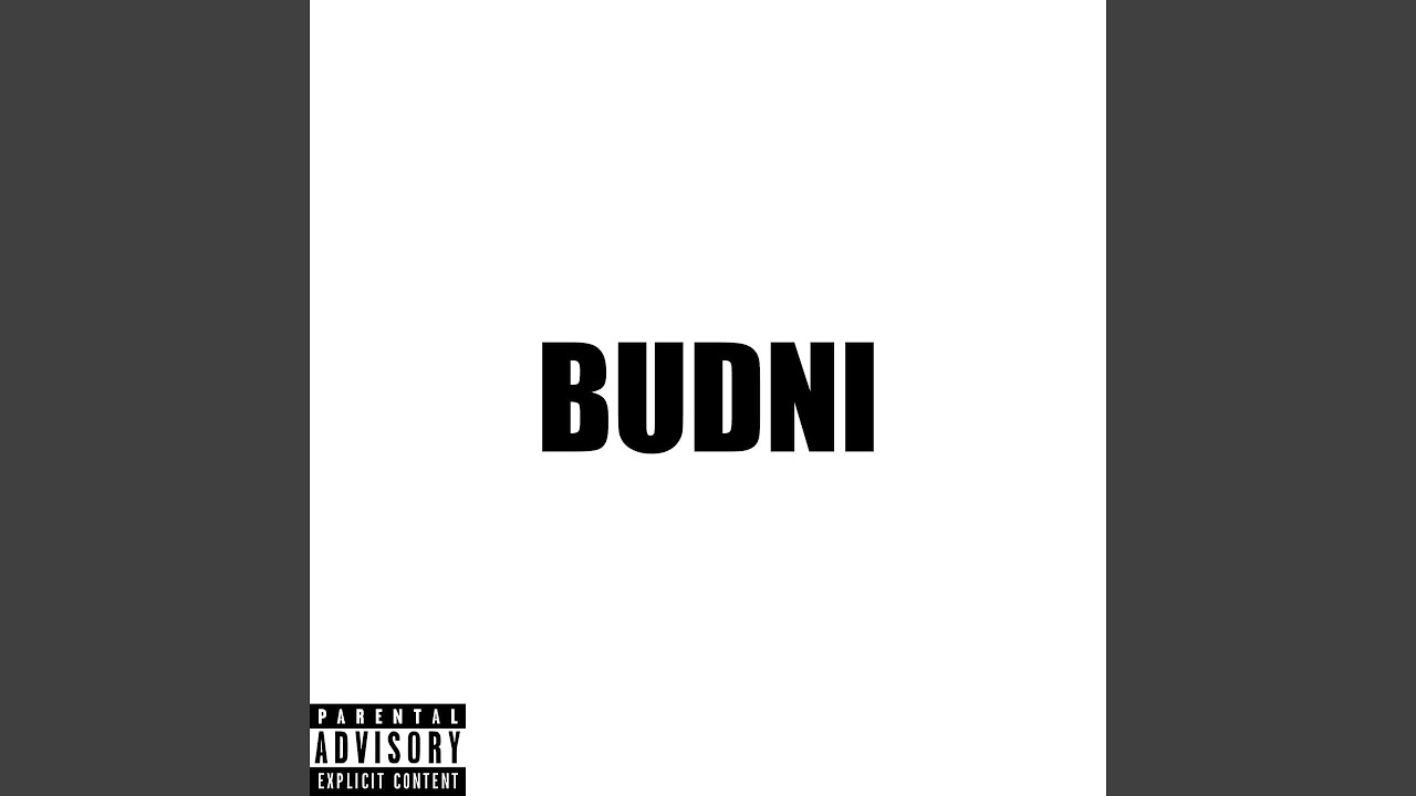 BUDNI (feat. Baur)