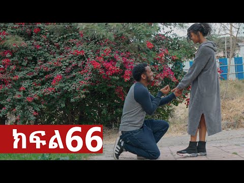 ትሁት ክፍል 66 