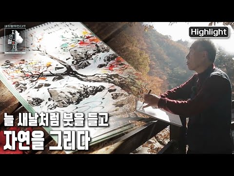 매일매일 사는 순간이 중요하고, 자연에 깃든 오늘을 살아간다. | 자연의 철학자들 38부 언제나 새로운 날 (KBS 20221216 방송)