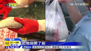 20150506中天新聞指名買「飽卵黃魚」！ 早被「剖腹取卵」？